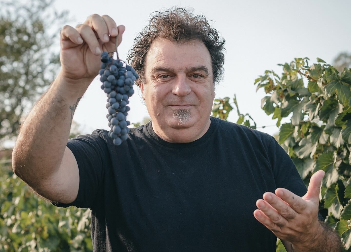 Alejandro Vigil fue nominado por Wine Enthusiast como 