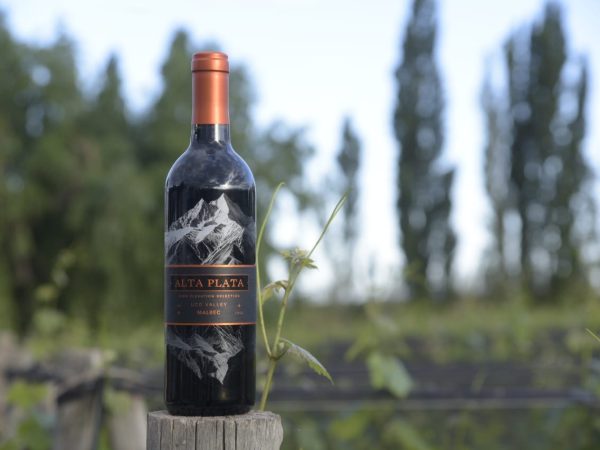 8510014e-2b24-4f5d-a83f-187ff4b4d987