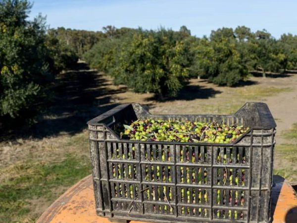 AFWNJLSX4ZCSVPU4JWNAPN32YM