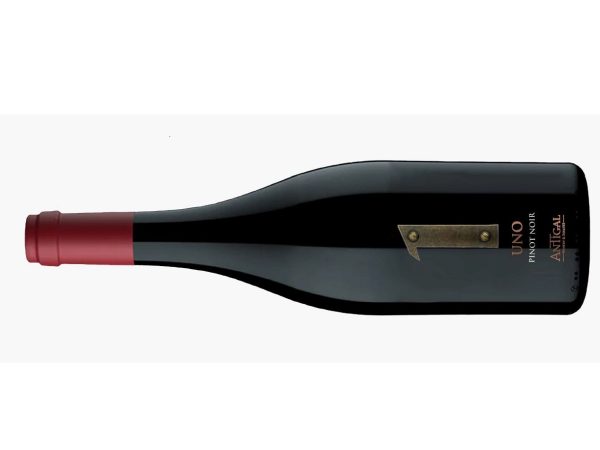 Antigal-Pinot-Noir 3