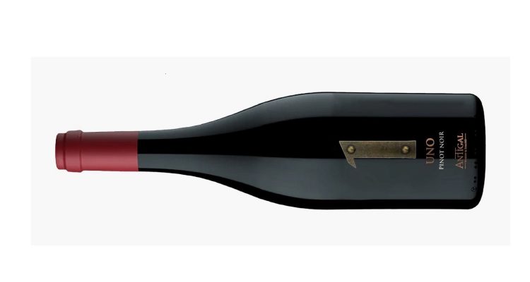 Antigal-Pinot-Noir 3