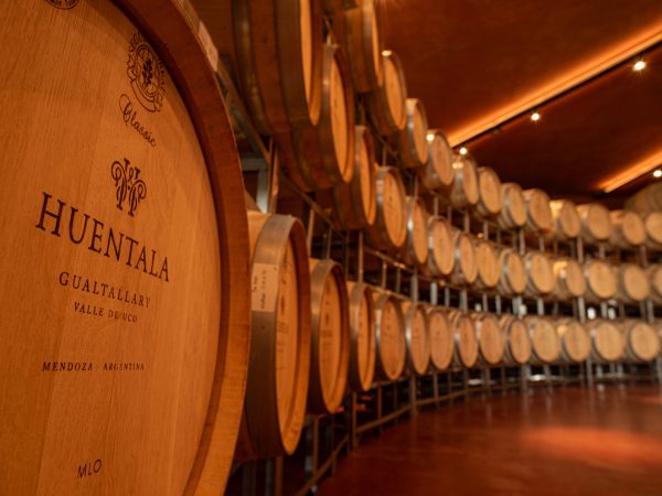 Barricas HW Gualtallary