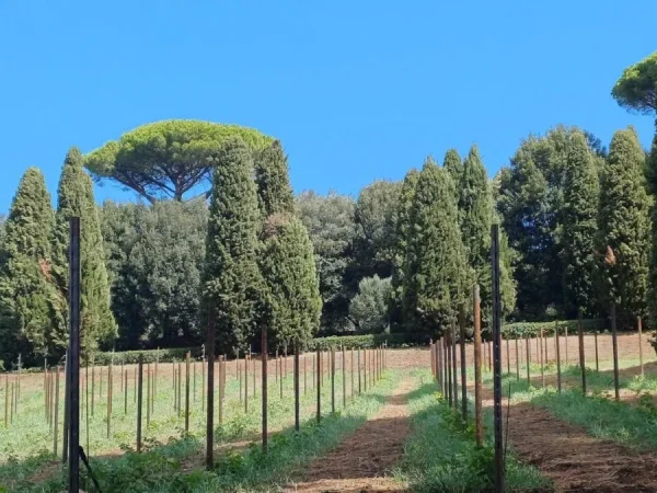 Borgo-Laudato-Si