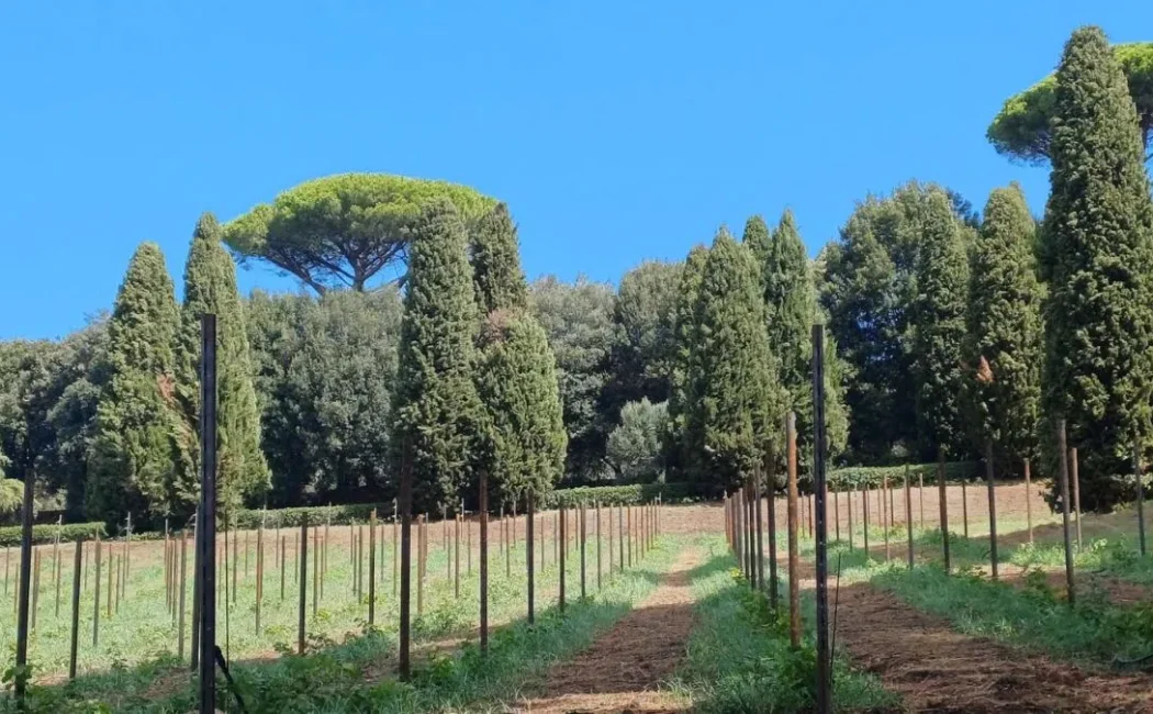 Borgo-Laudato-Si