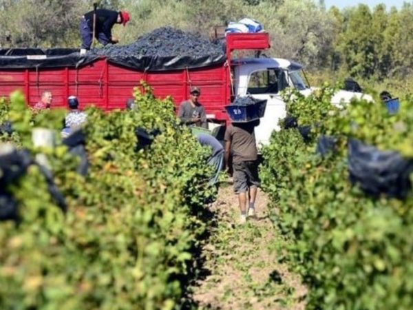 xr:d:DAF0_x6ts00:135,j:8051728176169077683,t:24020713