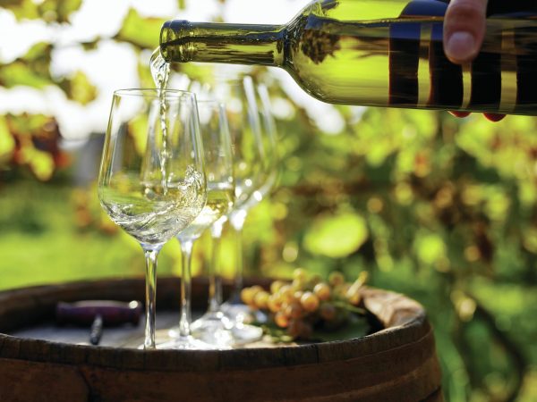 Chardonnay-Masters-scaled