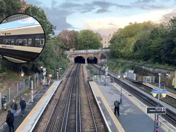 Denmark-Hill-Station-Wine-UK-First-Vineyard-in-Camberwell-2026