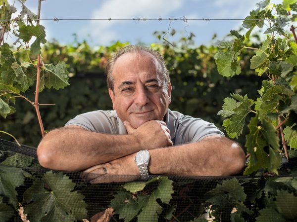 FOTO WALTER BRESSIA EN VIÑEDOS