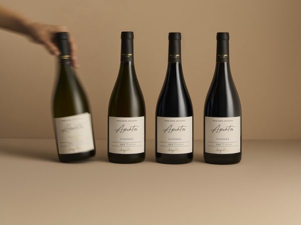 Foto - Barbera 2025 (6)