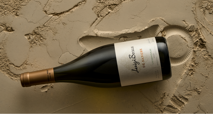 Foto-DS-Chardonnay-1