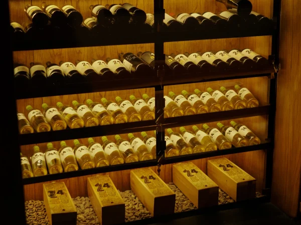 GM69hQw4jMViL3UzKUgcDt4Ld1ePtDuoZccxJ221