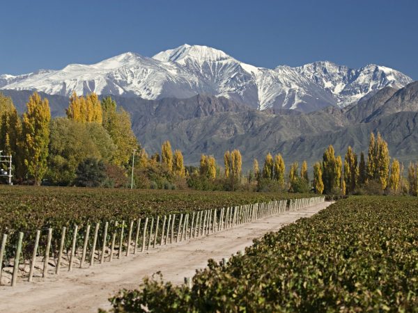 Las_compuertas-Mendoza-scaled