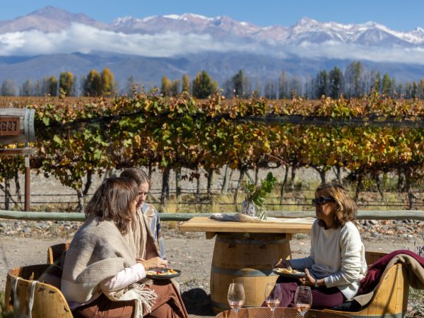 Los invitados disfrutaron de un almuerzo campestre bajo el sol de un cálido mediodía y con vista a los viñedos y la cordillera