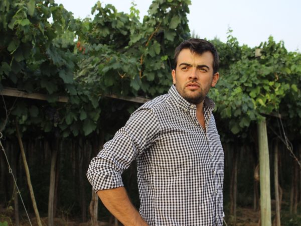 MESTRE
