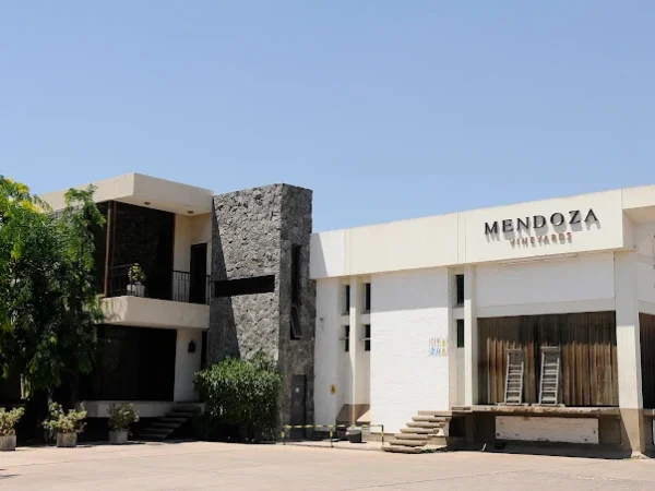 Mendoza Vineyars