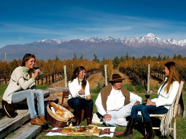 Pic-nic-en-los-vinedos
