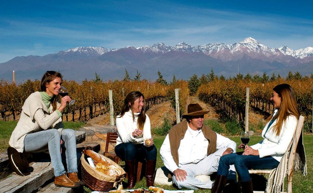 Pic-nic-en-los-vinedos