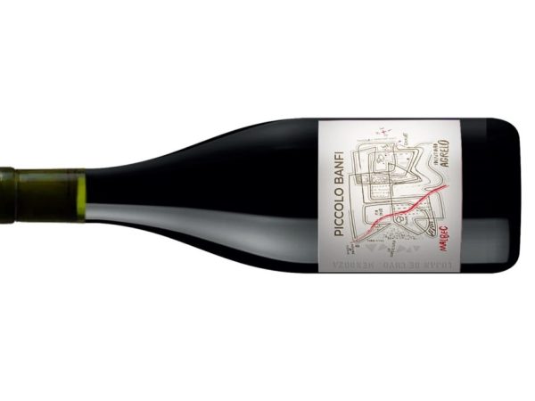 Piccolo-Banfi-Identidad-Agrelo