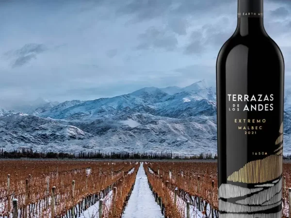 Terraza-extremo-portada-1068x712