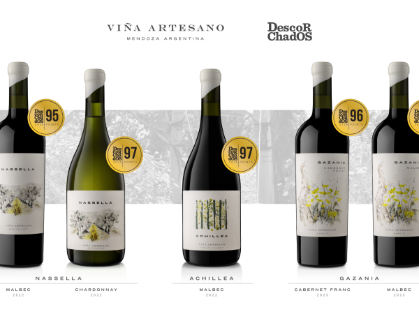 VINŽA-ART-DESC-2026-GRUPO