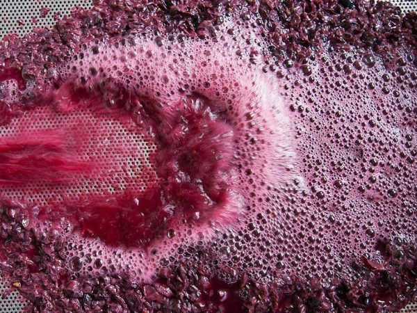Vinos-a-Granel-e1612985997293