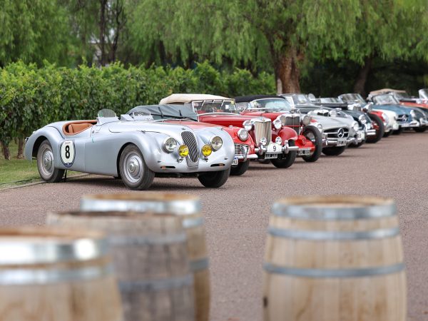 b53a9781-4b20-5145-e870-9856497dc226