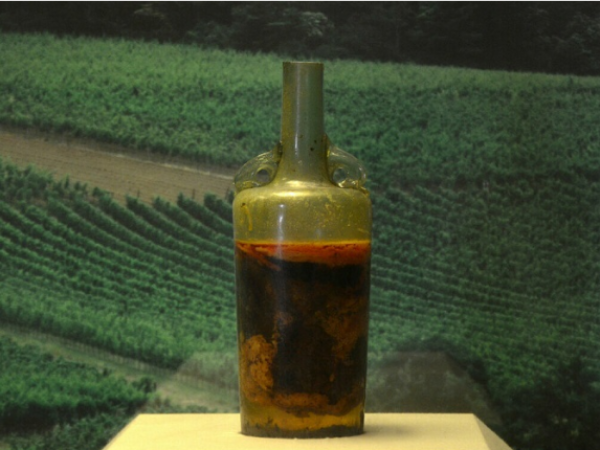 botella-vino-mas-vieja-del-mundo-1700-anos-antiguedad-podria-ser-catada