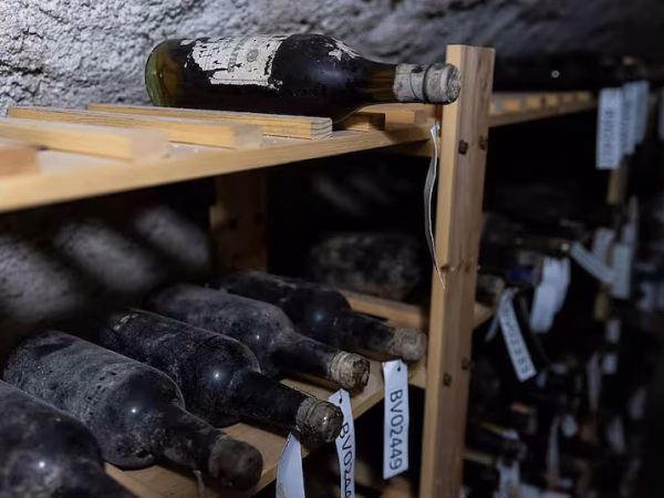 botellas-inventariadas-en-la-YANVMRA4HVAADHLVVJ6GX7TKDY
