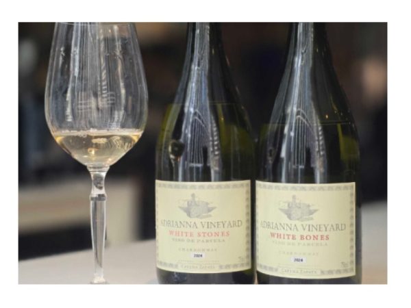 catena-white-stones-catena-white-bones (1)