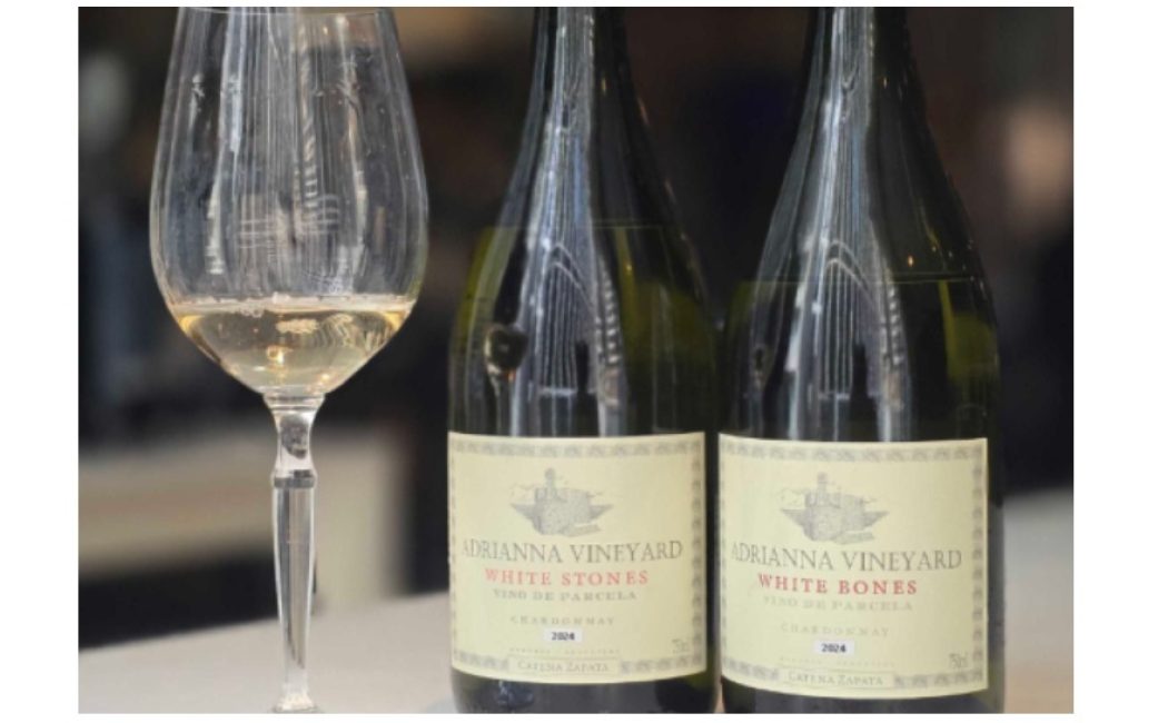 catena-white-stones-catena-white-bones (1)