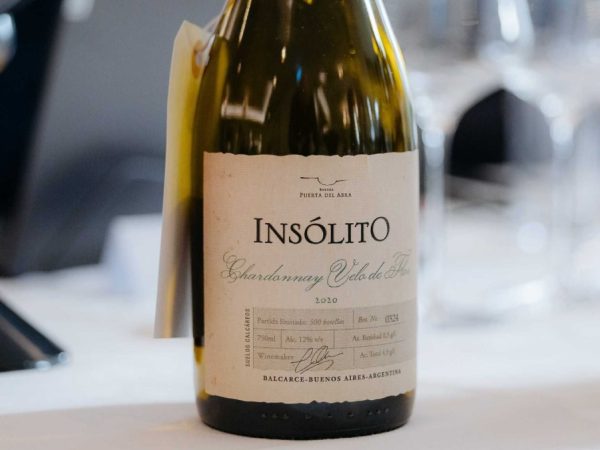 insolito-velo-de-flor-chardonnay