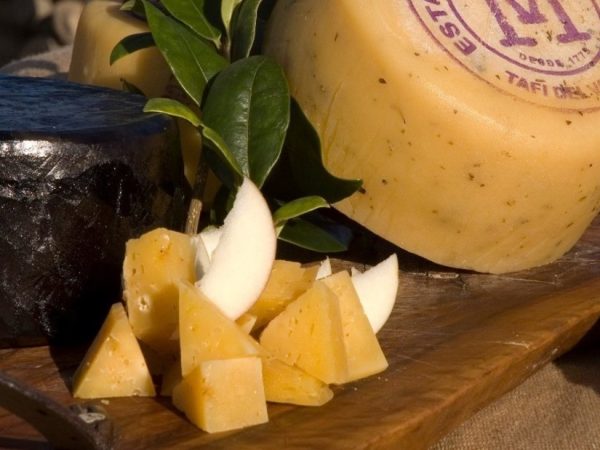 mTkSaBPX6_1256x620__2