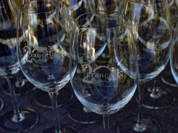 mendoza wine fair
