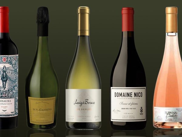 portada portelli recomendados