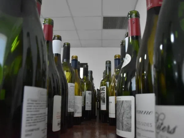 vinos-iconos-la-patagonia-1jpg