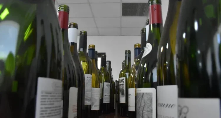 vinos-iconos-la-patagonia-1jpg
