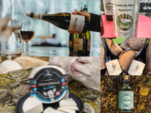 vinosquesosaoveginmardelplatabalcarce